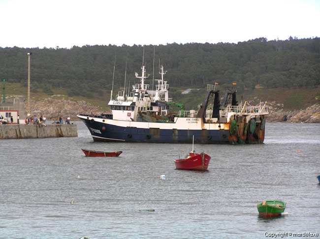 Trawler boats